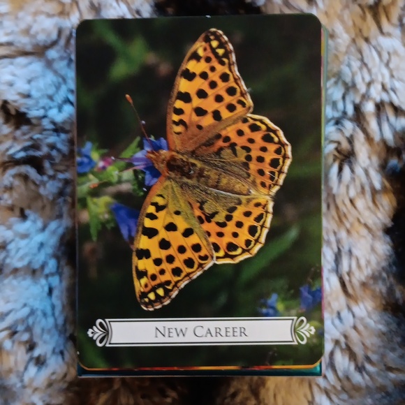 Butterfly oracle cards by Doreen Virtue - Picture 6 of 8